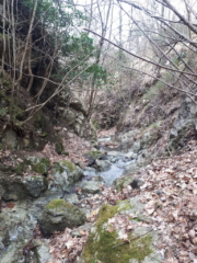 Vista torrente località di ricerca